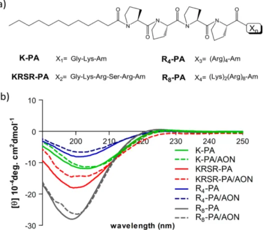 Figure 1. (a) Chemical representation of PAs used in this study: lauryl-P 4 GK-Am (K-PA), lauryl-P 4 GKRSR-Am (KRSR-PA), lauryl-P 4 R 4 -Am (R 4 - -PA), and lauryl-P 4 K 2 R 8 -Am (R 8 -PA)