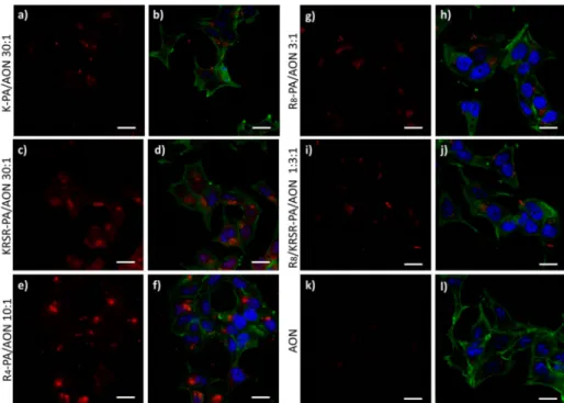Figure 4. Uptake of PA/AON complexes by MCF-7 cells quantiﬁed with ﬂow cytometry. (Error bars show SEM; two independent experiments were repeated with n = 3 in each experiment