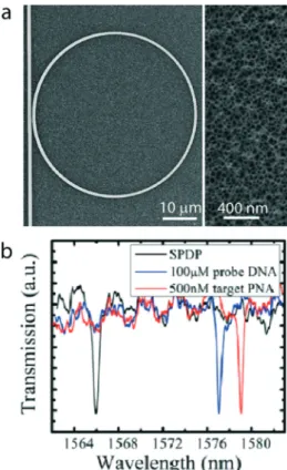 Fig. 16b shows a schematic demonstration of hybridisation between target miRNAs (red) and probe ssDNAs (black) which leads to a significant shift ( Δpm) in the tracked resonance wavelength