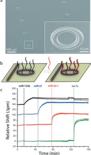 Fig. 17a shows their miRNA sensing approach in this work. Target miRNAs were infused, using a peristaltic pump, through the microring having fully complementary ssDNAs.