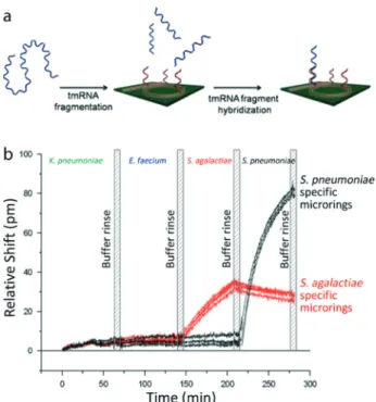 Fig. 19 Thrombin detection using an aptamer conjugated microsphere. (a) Experimental set-up (left)