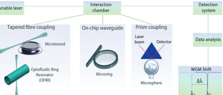Fig. 1 Schematic diagram summarising the oligonucleotide-based biosensing approaches using various optical resonators (microtoroids, optofluidic ring resonators (OFRRs), microrings and microspheres)