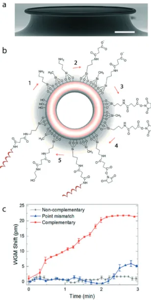 Fig. 8 Real-time and fluorescence detection of DNA hybridisation using a microtoroid with a functionalised surface