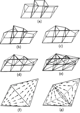 Figure  2.  Examples of closed and open surfaces: 