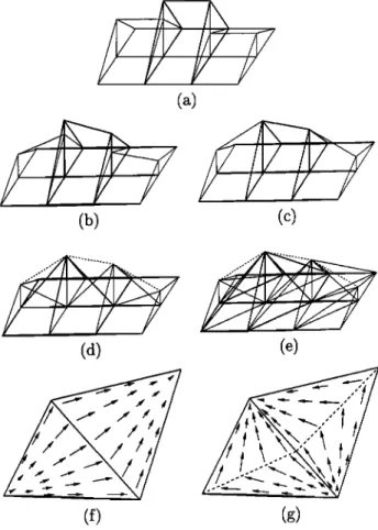 Figure  2.  Examples of closed and open surfaces: 
