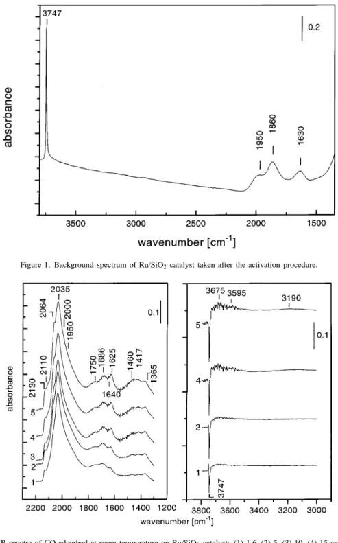 Figure 1. Background spectrum of Ru/SiO 2 catalyst taken after the activation procedure.