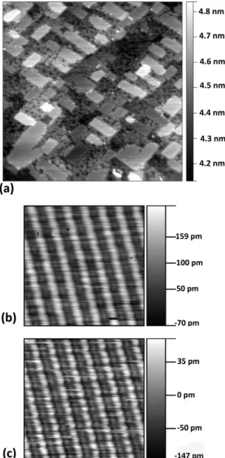 FIG. 1. (a) A 100 nm  100 nm STM image of Ir modified Si(001) surface.