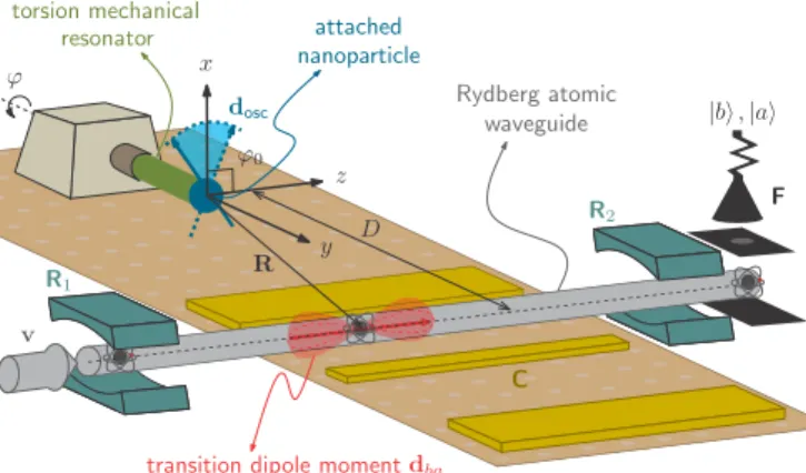 FIG. 1. Schematic of the coupled Rydberg-atomic waveguide (gray) and torsion mechanical oscillator (green)