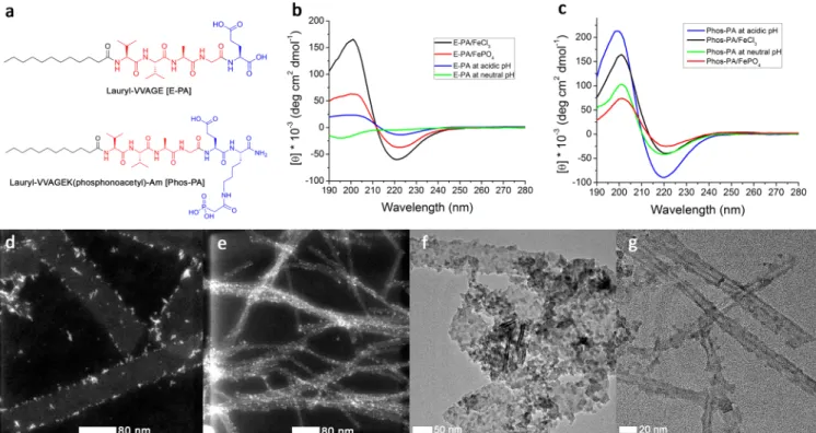 Figure 2. Morphology and composition of the calcined peptide nanostructures coated with inorganic materials