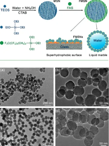 Figure 1. TEM images for (a, b) MSNs and (c, d) FMSNs. TEM images demonstrate uniform size distribution and hexagonal mesoporous structure for both particles.