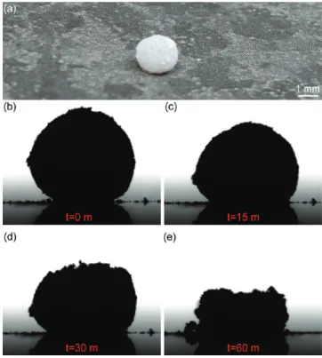 Figure 3. (a) Photograph of a liquid marble of FMSNs prepared with