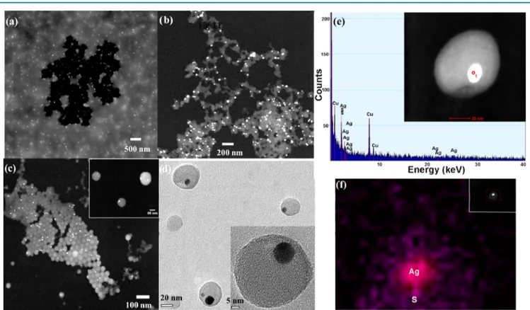 Figure 4. TEM images for the oligomer to silver ratio as (a) 1:4, (b) 1:2, (c) 2:1, and (d) 4:1 and single oligomer−silver hybrid nanoparticle as inset, (e) the EDX spectrum of a hybrid nanoparticle (one of the hybrid nanoparticles shown in micrograph (d))