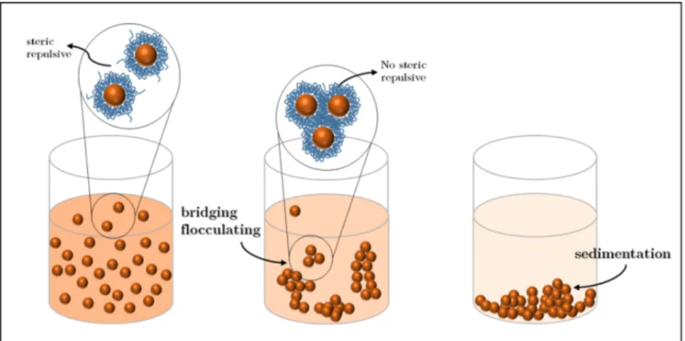 Figure 1.8: Steric stabilization of colloids; any modification usually ends up with aggregation and eventually sedimentation.