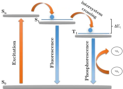 Figure 1.11: Jablonski diagram of small molecule PS for generation of 1 O 2 .