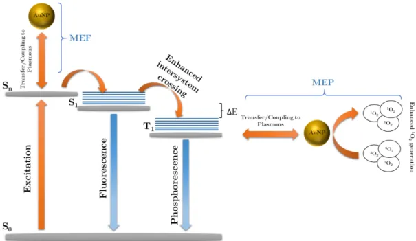 Figure 1.14: Modified Jablonski diagram of the photosensitizer and metal- metal-enhanced singlet oxygen generation