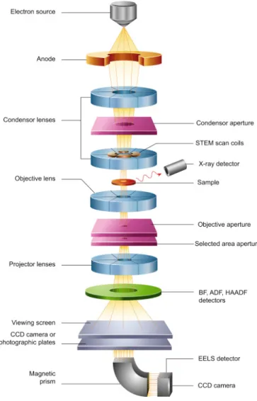 Figure 2.4: Schematic diagram of the main components of TEM. Reprinted with permission from [123].