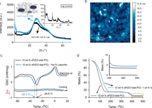 Figure 3. Characterization of the sP(EO-stat-PO) hydrogels. (a) XRD patterns of the clay dispersion in PBS and the hydrogel with 1 wt % laponite.