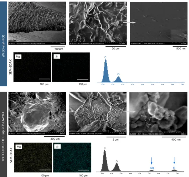 Figure 6a displays the nanocomposite hydrogels, which were produced with/without azide dye, under ﬂuorescence light