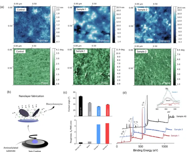 Figure 7. Characterization of the ultrathin nanocomposite layers. (a) Topological and phase images of the nanocomposite coatings by AFM