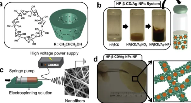 Fig. 1. (a) Chemical and 3D structure of the HP- β-CD. (b) The optical photos of the HP-β-CD solutions during the Ag-NP synthesis
