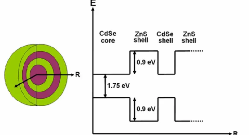 Fig. 1. Schematic of an onion-like (CdSe)ZnS/CdSe/ZnS heteronanocrystal structure (with  violet regions representing CdSe and green regions representing ZnS) along with the  corresponding radial energy diagram (not drawn to scale)