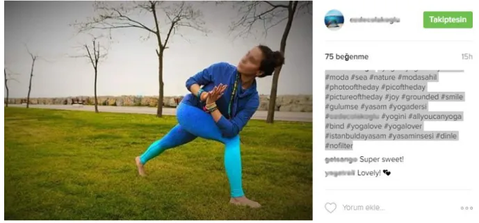 Figure 5: Example of Recommendation-Like Post on Instagram 