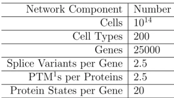 Table 4.1: A rough estimation of numbers of various cellular components, based on currently known numbers in the literature