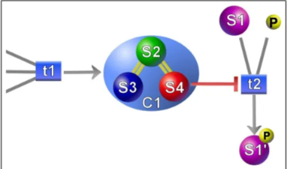 Figure 5.1: Representation of complex in Patika . Here C1 is a complex formed by states S2, S3 and S4
