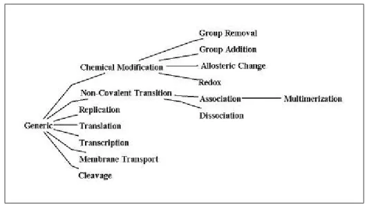 Figure 5.2: Patika transition tree decomposes transitions to several classes.