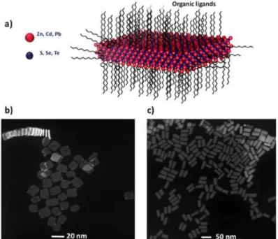 Figure 2.4). Moreover, the emerging step-like absorption behavior of NPLs indicates their  quantum-well-like density of states