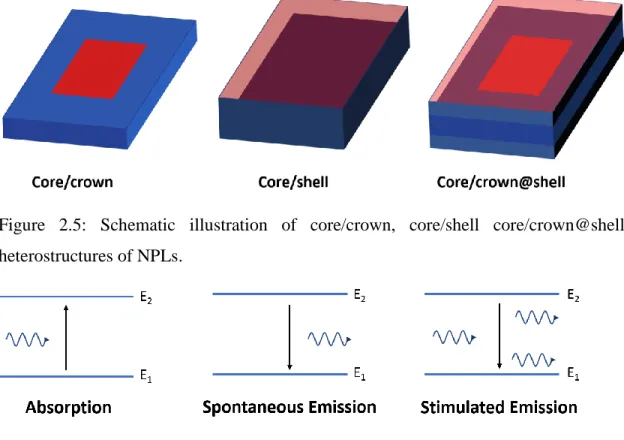 Figure 2.6: Schematics of the basic light-matter interactions for a two-level atomic system