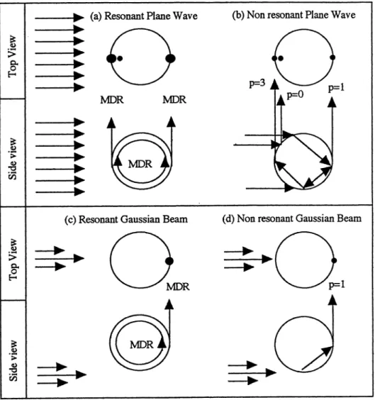Figure 1. Schematic of the top and side views of the microsphere depicting the non- resonant (p=O ,1,3) glare spots and MDR glare spots when excited by (a) a resonant plane wave, (b) a non-resonant plane wave, (c) a resonant off-axis Gaussian Beam, and (d)