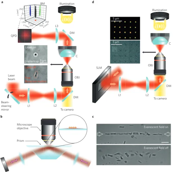 Figure 2 | Basic experimental designs. a, Optical tweezers are obtained by focusing a laser beam to a diffraction-limited spot, using a high-numerical- high-numerical-aperture objective lens (OBJ)