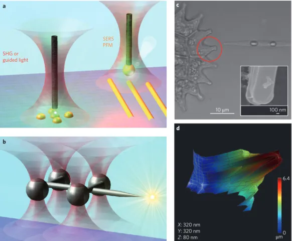 Figure 5 | Photonic force microscope. a, Schemes for the realization of a PFM with functional nanostructures