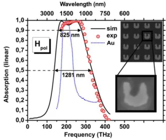 Fig. 2. Numerical and experimental data of absorbance derived from scattering parameters