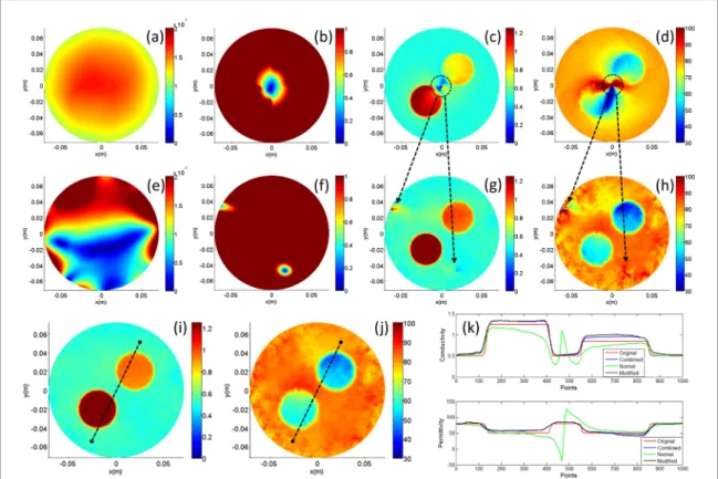Figure 9.  Results of the phantom with anomalies: ((a) and (e))  B + 1  magnitude, ((b) and (f)) F x  magnitude, ((c) and (g))  conductivity reconstructions (S m −1 ), ((d) and (h)) relative permittivity reconstructions for the normal and modified drive  r