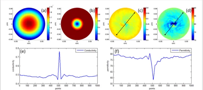 Figure 4.  The  B + 1  magnitude, F x  magnitude, conductivity reconstruction (S m −1 ) and relative permittivity reconstruction given in  (a)–(d), respectively