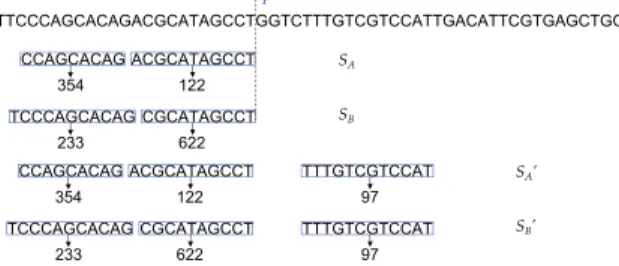 Fig. 3. Example showing that a seed subset (S B ) that leads to a higher frequency than another subset (S A ) that ends at the same location (p) in the read must not be part of the optimal seed solution