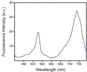 Fig. 6 Excitation spectrum of PS-7. Emission data were collected at 781 nm with an optically dilute solution in CHCl 3 .