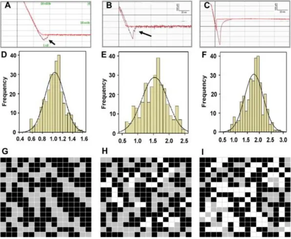 Figure 1.6. Young’s modulus measurements of erythrocytes from young and healthy  (YHP;  a,  d  and  g);  old  and  healthy  (OHP;  b,  e  and  h)  and  old  and  type-II  diabetic  (ODP;  c,  f  and  i)  individuals