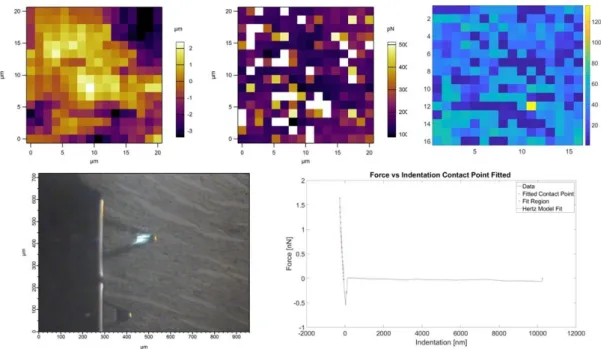 Figure 2.2. Representative height, adhesion, elastic modulus maps, appearance under  light microscopy, and a sample force-distance curve for deparaffinized heart tissue