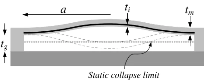 Fig. 1. Cross section of a circular membrane with radius a, thickness t m and gap height of t g 