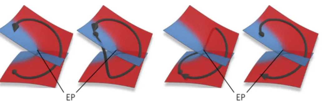 Figure 2.2: Representation of Riemann sheet and encircling an EP, adapted from Ref. [56]
