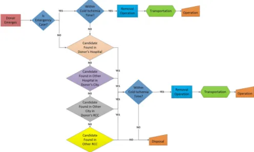 Fig. 2 Organ transplantation process in Turkey