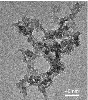 Figure 4.2: TEM micrograph of Me25 film visualizing the silica network with pores.