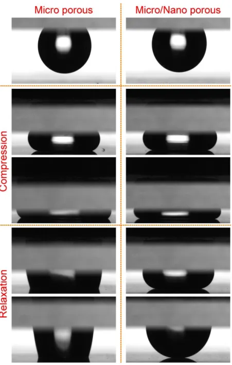 Figure  2.4:  Compression  experiments  using  the  NC  as  the  sticky  hydrophobic  top  plate