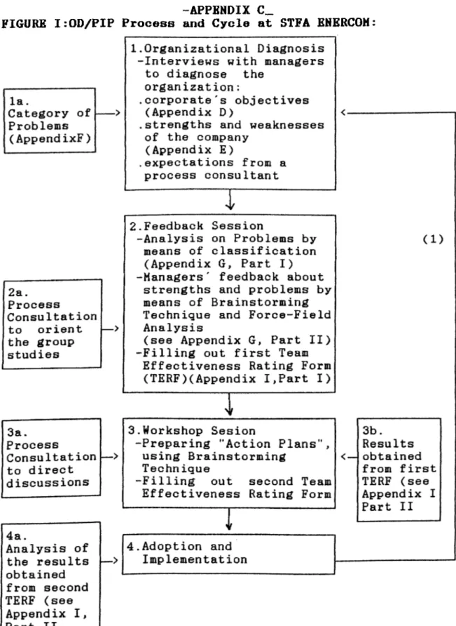 FIGURE I:OD/PIP Process and Cycle at  STFA ENERCOM: