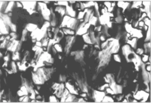 Fig. 1. Polarized optical microscopy (POM) image of oriented mesoporous thio- thio-phenesilica film showing the optical birefringence fan-texture of the hexagonal phase.
