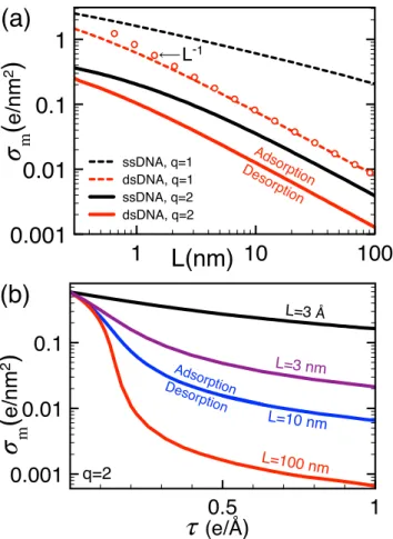 FIG. 9. The critical membrane charge σ m ∗ for the onset of the like-charge polyelectrolyte adsorption versus (a) the length L and (b) charge density τ of the molecule