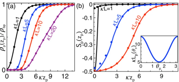 FIG. 3. (a) Polyelectrolyte density (26) and (b) orientational order parameter (27) including the steric rotational penalty (solid curves) and neglecting the steric penalty (dots) at various  polyelec-trolyte lengths
